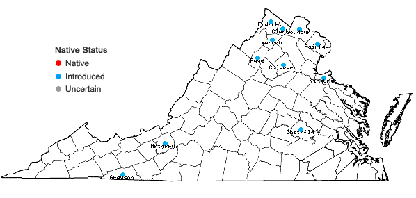 Locations ofLonicera xylosteum L. in Virginia