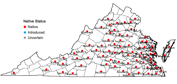 Locations ofLophocolea heterophylla (Schrad.) Dum. in Virginia