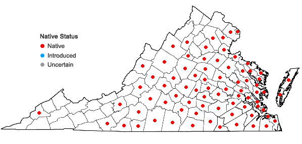 Locations ofLorinseria areolata (L.) Presl in Virginia