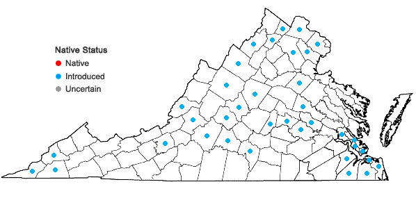 Locations ofLotus corniculatus L. in Virginia