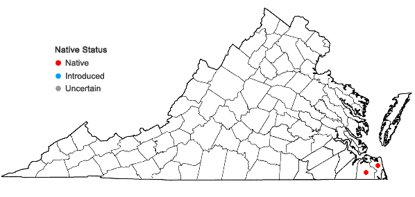 Locations ofLudwigia alata Elliott in Virginia