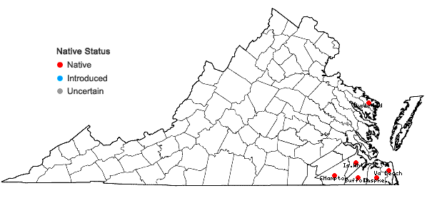 Locations ofLudwigia brevipes (B.H. Long ex Britt., A. Braun & Small) Eames in Virginia