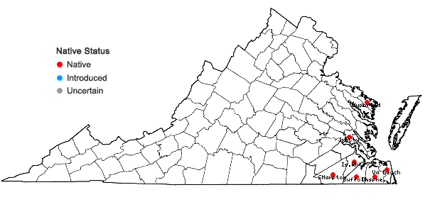 Locations ofLudwigia brevipes (B.H. Long ex Britt., A. Braun & Small) Eames in Virginia