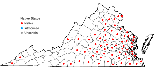 Locations ofLudwigia decurrens Walter in Virginia