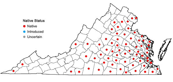 Locations ofLudwigia decurrens Walter in Virginia