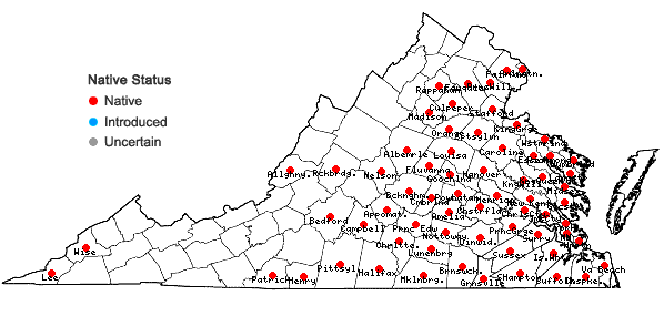 Locations ofLudwigia decurrens Walter in Virginia