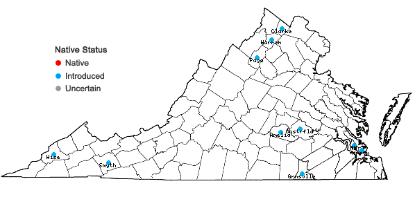 Locations ofLudwigia hexapetala (Hook. & Arn.) Zardini, Gu, & Raven in Virginia