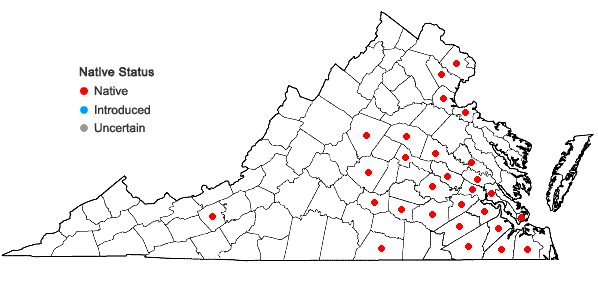 Locations ofLudwigia leptocarpa (Nuttall) Hara in Virginia