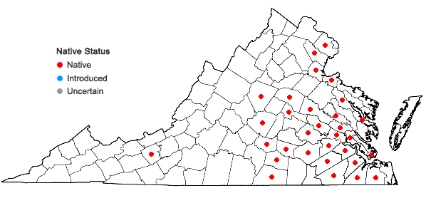 Locations ofLudwigia leptocarpa (Nuttall) Hara in Virginia