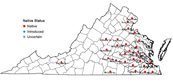 Locations ofLudwigia leptocarpa (Nuttall) Hara in Virginia