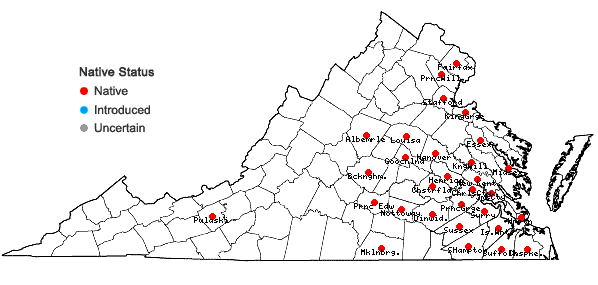 Locations ofLudwigia leptocarpa (Nuttall) Hara in Virginia