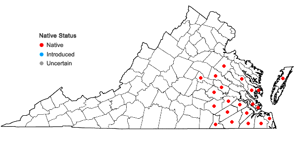 Locations ofLudwigia linearis Walter in Virginia