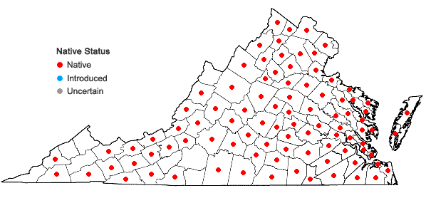 Locations ofLudwigia palustris (L.) Elliott in Virginia