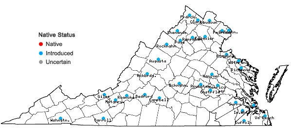 Locations ofLunaria annua Linnaeus in Virginia