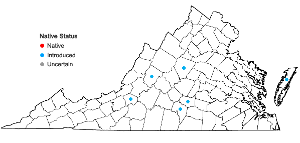 Locations ofLunularia cruciata (L.) Dumort. ex Lindb. in Virginia