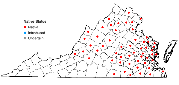 Locations ofLupinus perennis L. in Virginia