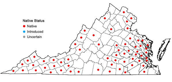 Locations ofLuzula acuminata Raf. in Virginia