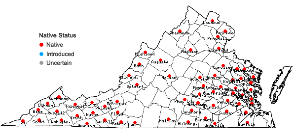 Locations ofLuzula acuminata Raf. in Virginia