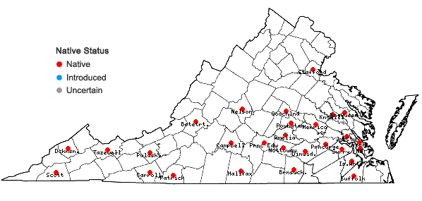 Locations ofLuzula acuminata Raf. var. carolinae (S. Wats.) Fern. in Virginia