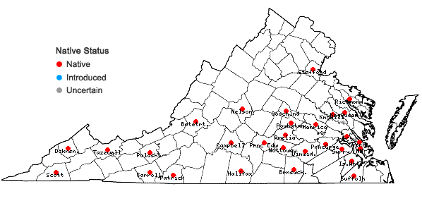 Locations ofLuzula acuminata Raf. var. carolinae (S. Wats.) Fern. in Virginia