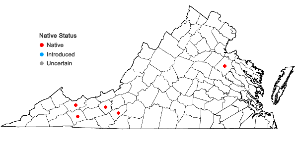 Locations ofLuzula acuminata Raf. var. acuminata in Virginia