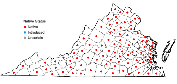Locations ofLuzula echinata (Small) F.J. Hermann in Virginia