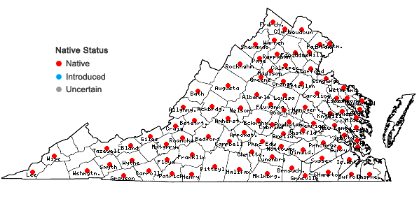 Locations ofLuzula echinata (Small) F.J. Hermann in Virginia