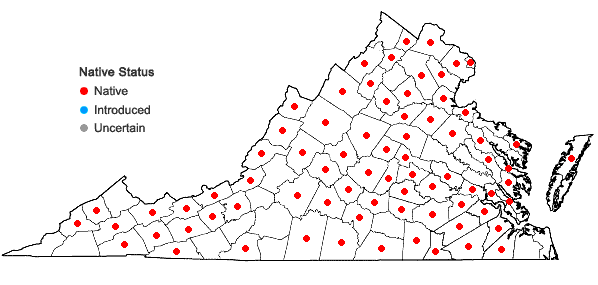 Locations ofLuzula multiflora (Ehrhart) Lejeune var. multiflora in Virginia