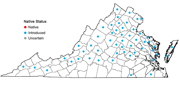 Locations ofLycium barbarum L. in Virginia