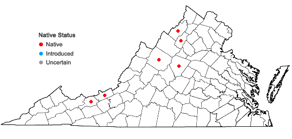 Locations ofLycopodiella ×gilmanii A. Haines in Virginia