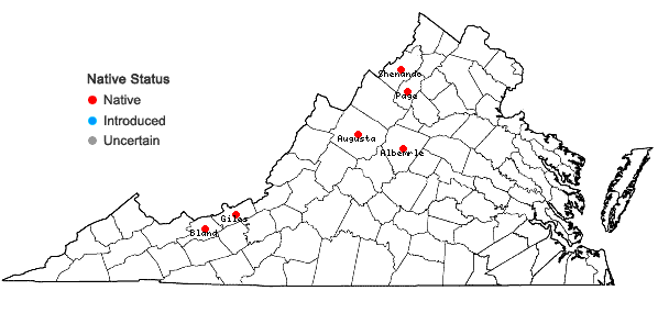 Locations ofLycopodiella ×gilmanii A. Haines in Virginia