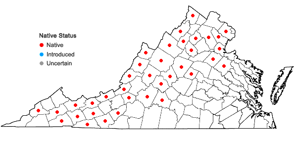 Locations ofLycopodium clavatum L. in Virginia