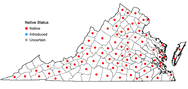 Locations ofLycopus americanus Muhl. ex W. Bart. in Virginia