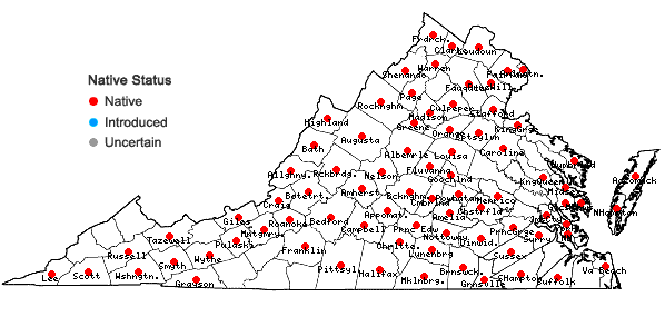 Locations ofLycopus americanus Muhl. ex W. Bart. in Virginia