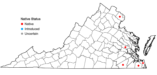 Locations ofLycopus angustifolius Elliott in Virginia