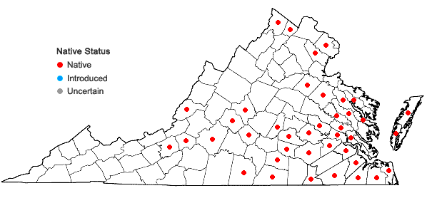 Locations ofLycopus rubellus Moench in Virginia