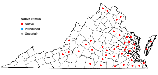 Locations ofLycopus rubellus Moench in Virginia