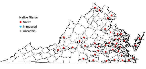 Locations ofLycopus rubellus Moench in Virginia