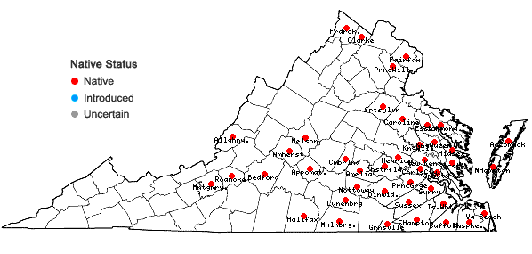 Locations ofLycopus rubellus Moench in Virginia