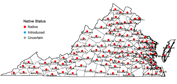 Locations ofLycopus virginicus L. in Virginia