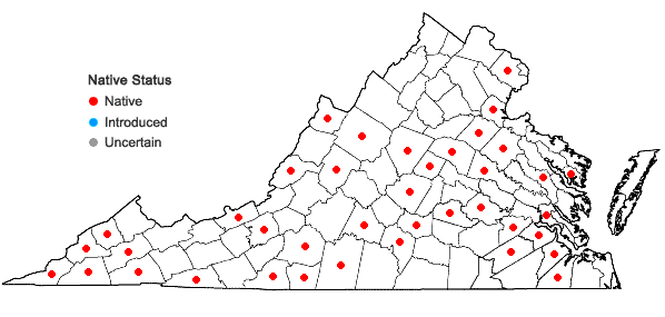 Locations ofLygodium palmatum (Bernh.) Sw. in Virginia