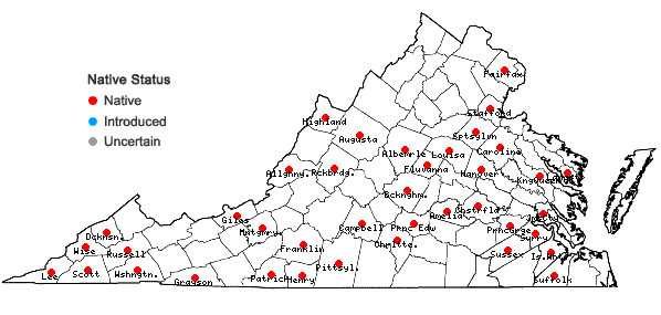 Locations ofLygodium palmatum (Bernh.) Sw. in Virginia