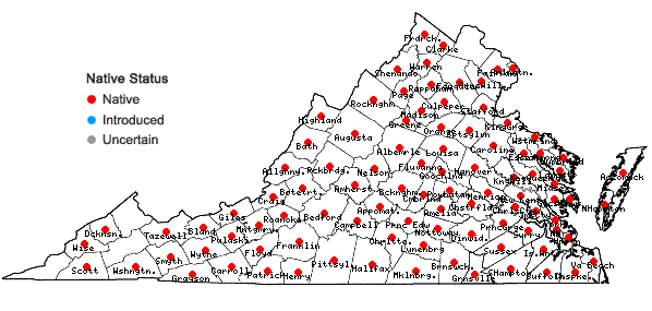 Locations ofLyonia ligustrina (L.) DC. var. ligustrina in Virginia