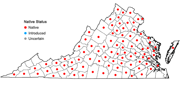 Locations ofLysimachia ciliata L. in Virginia