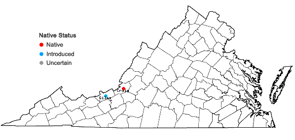 Locations ofLysimachia japonica Thunberg in Virginia