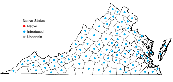 Locations ofLysimachia nummularia L. in Virginia
