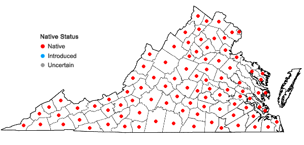 Locations ofLysimachia quadrifolia  L. in Virginia