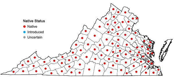 Locations ofLysimachia quadrifolia  L. in Virginia