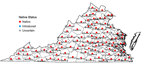 Locations ofLysimachia quadrifolia  L. in Virginia