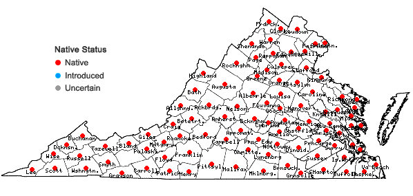 Locations ofLysimachia quadrifolia  L. in Virginia